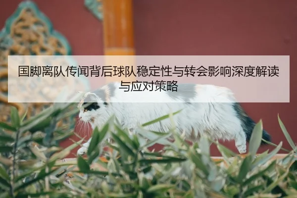 国脚离队传闻背后球队稳定性与转会影响深度解读与应对策略 - yaxin